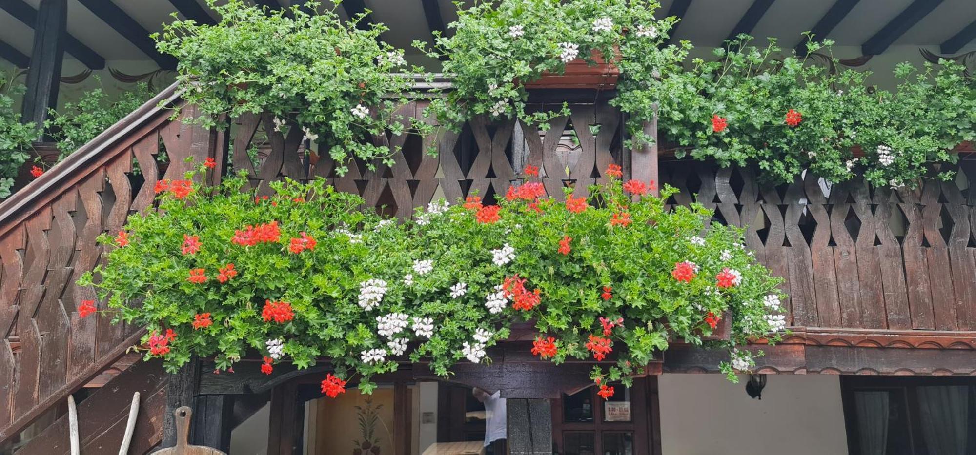 Стаи За Гости The Old House Velingrado Exterior foto